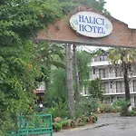 Halici