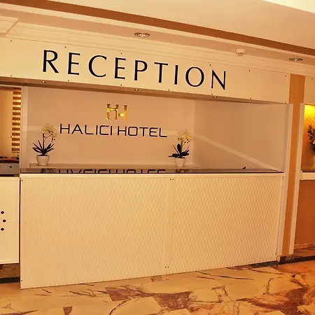 ホテル Halici 3*